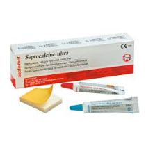 Calcium Hydroxide Cavity Liner-Septocalcine Ultra -Septodont